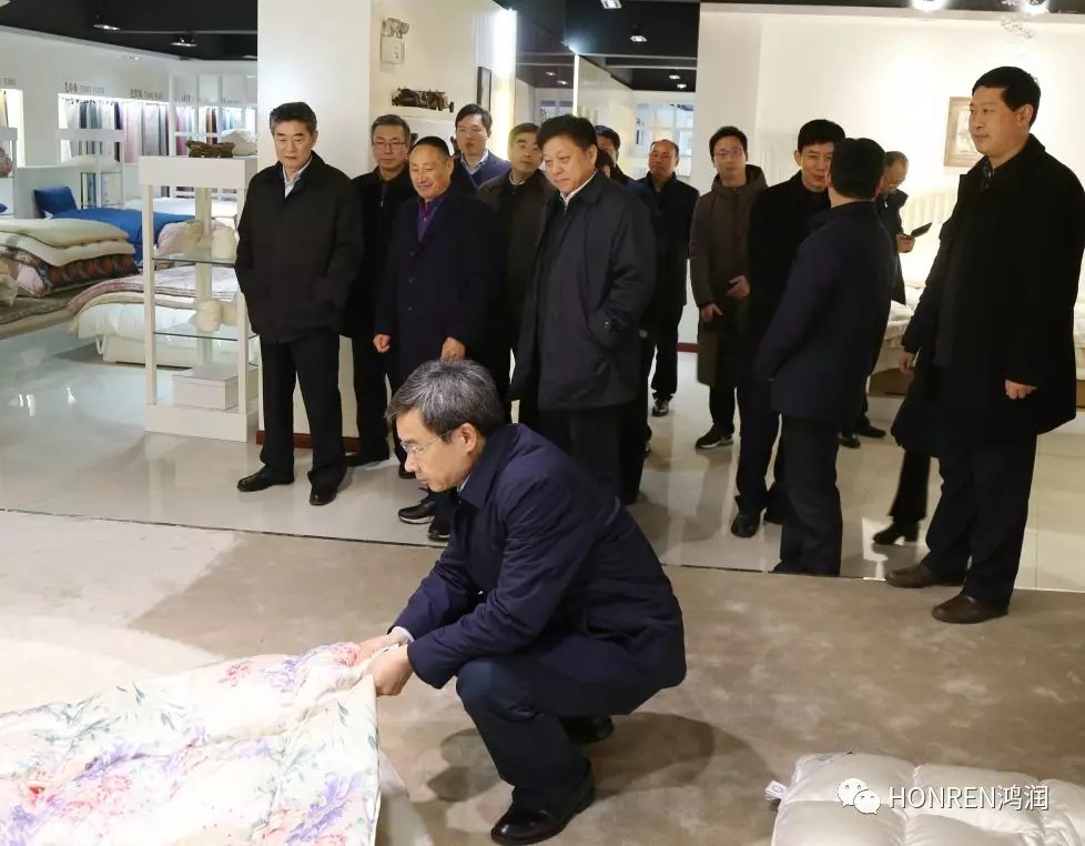 安徽省委常委、常務(wù)副省長鄧向陽到鴻潤視察