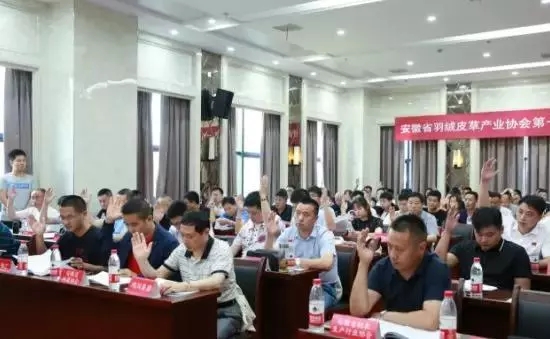 安徽省羽絨皮草產(chǎn)業(yè)協(xié)會(huì)成立，夏吉國(guó)總裁任第一屆理事會(huì)顧問(wèn)